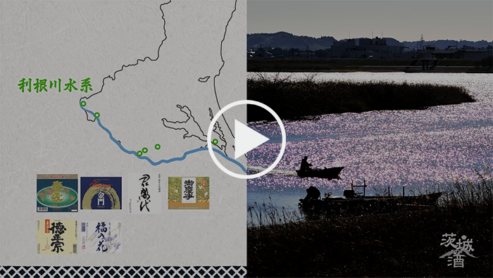 利根川水系の動画