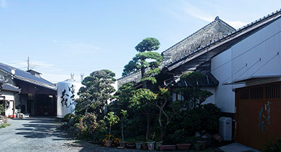 森島酒造(株)